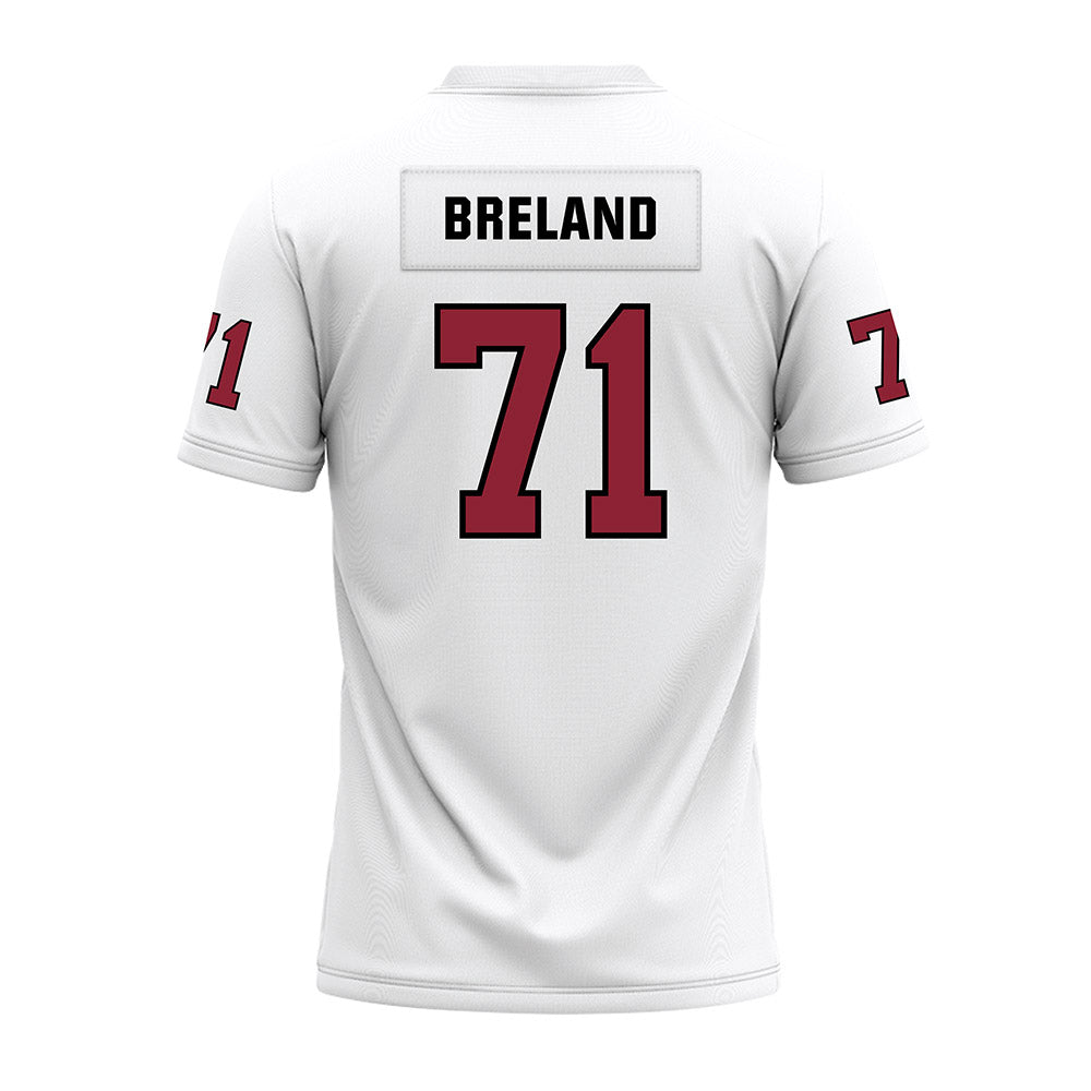 Troy - NCAA Football : Antwone Breland - White Premium Football Jersey-1