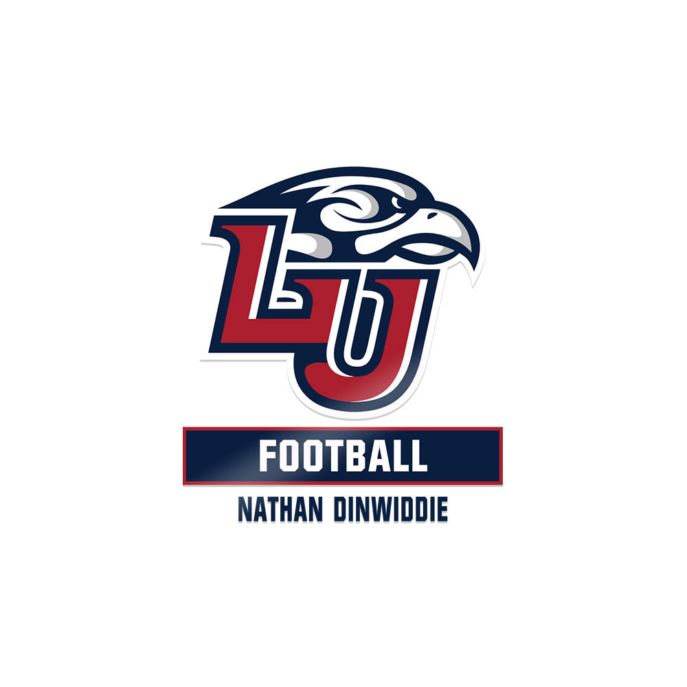 Liberty - NCAA Football : Nathan Dinwiddie - Sticker-0