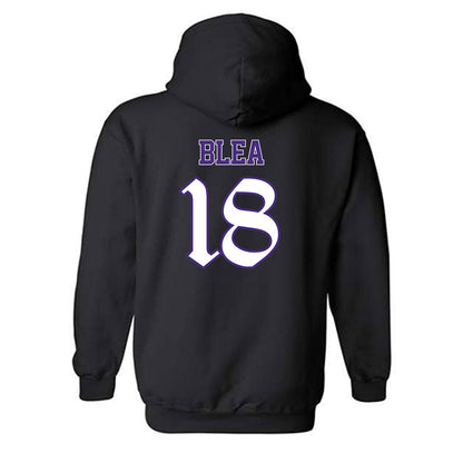Northwestern - NCAA Softball : Emma Blea - Hooded Sweatshirt-1