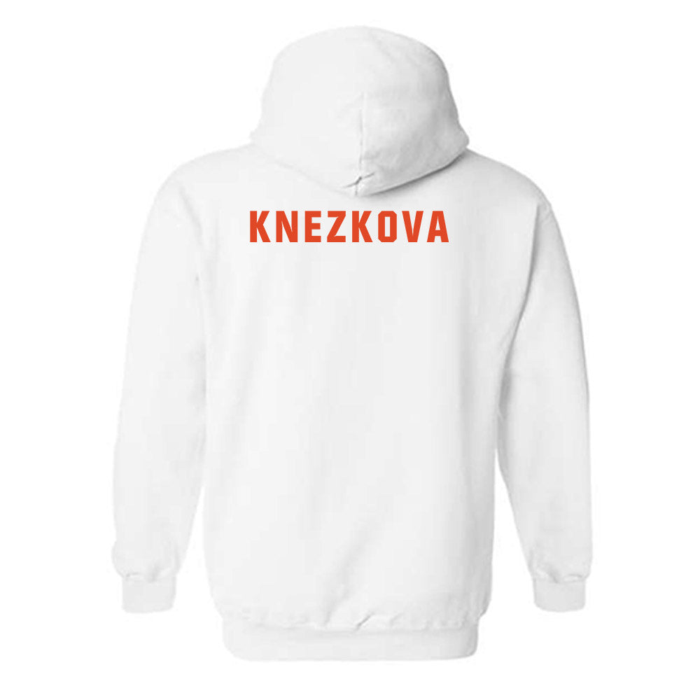 Syracuse - NCAA Women's Tennis : Nelly Knezkova - Classic Shersey Hooded Sweatshirt-1