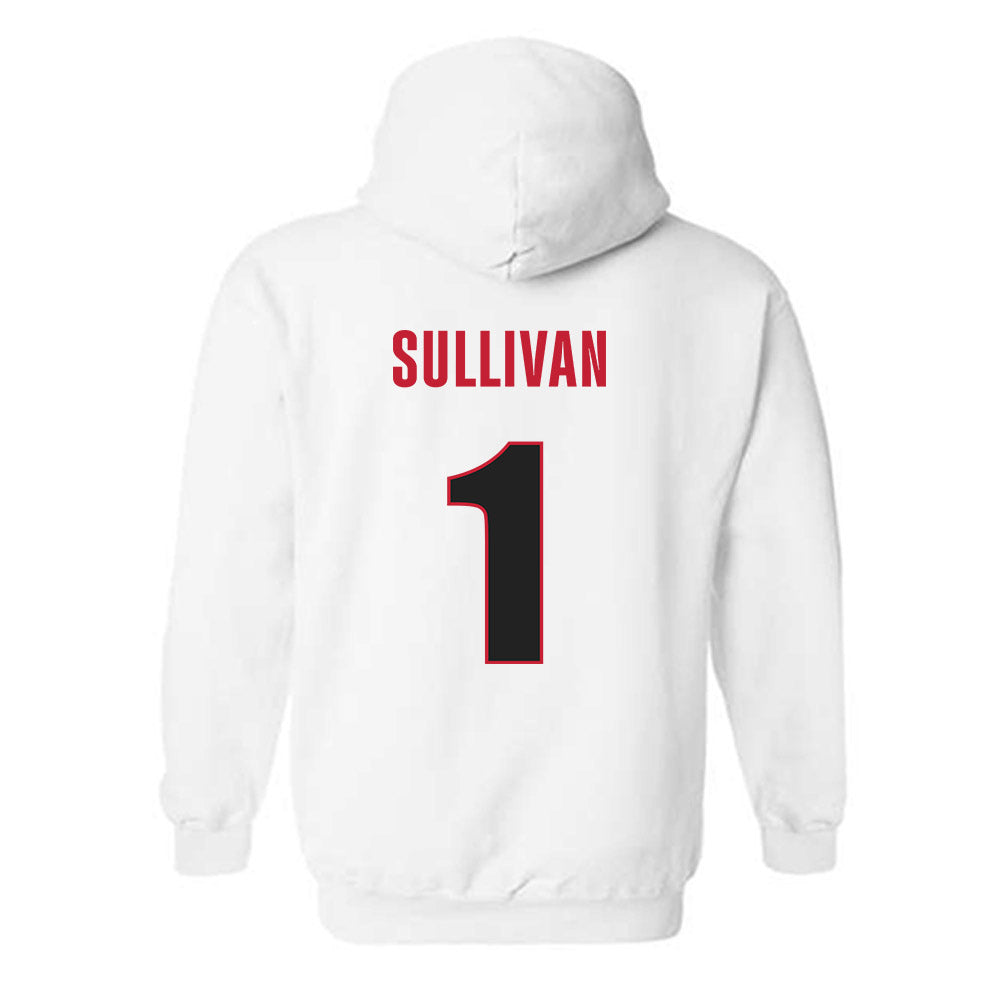 Georgia - NCAA Softball : Delani Sullivan - Classic Shersey Hooded Sweatshirt-1