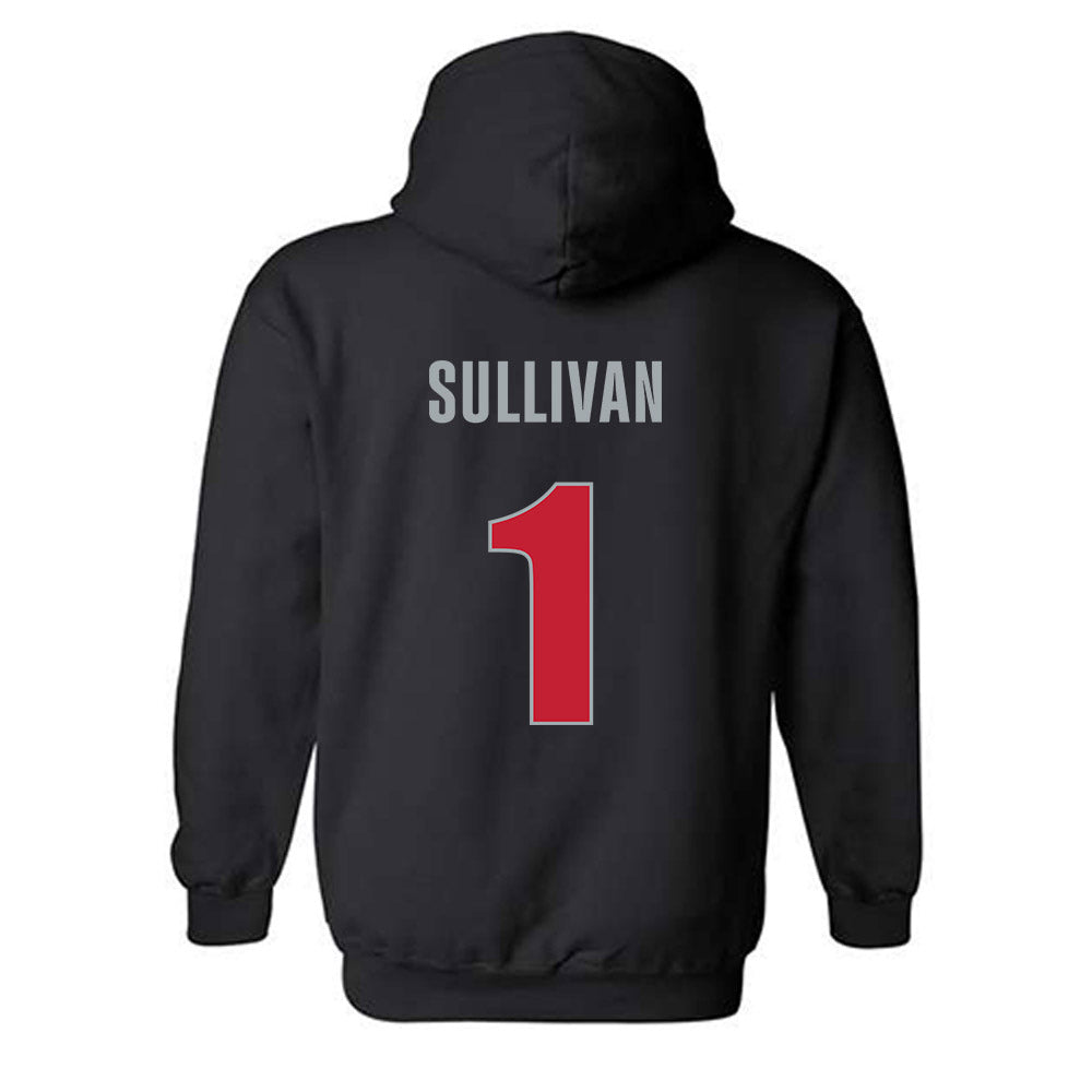 Georgia - NCAA Softball : Delani Sullivan - Classic Shersey Hooded Sweatshirt-1