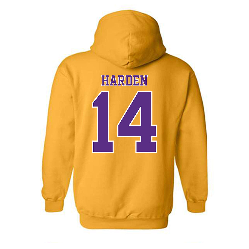 LSU - NCAA Baseball : Daniel Harden - Classic Shersey Hooded Sweatshirt-1