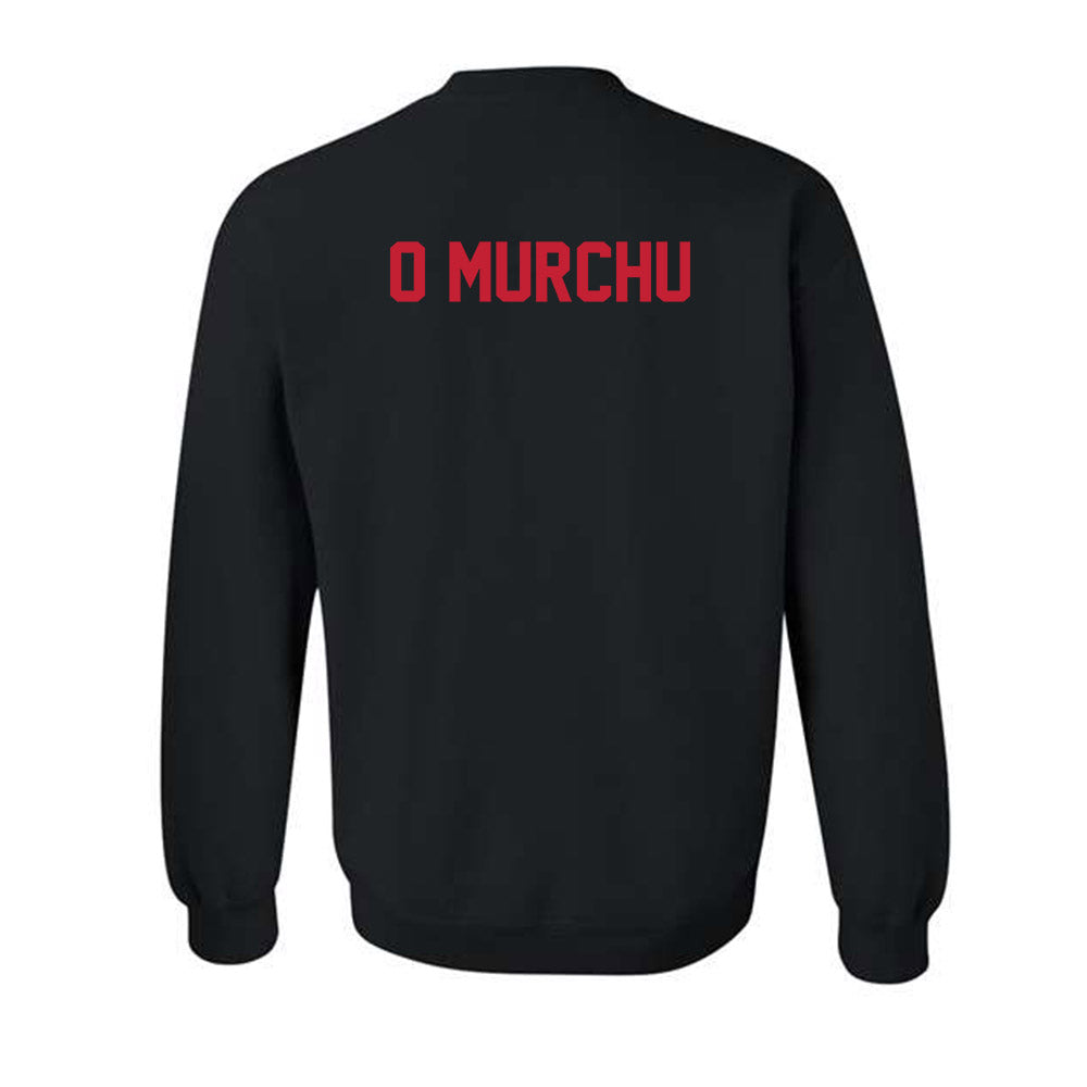 New Mexico - NCAA Men's Track & Field : Fionn O Murchu - Classic Shersey Crewneck Sweatshirt-1