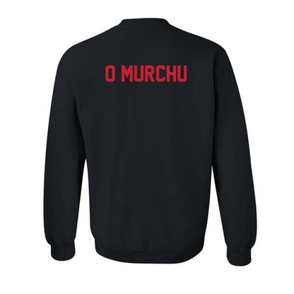 New Mexico - NCAA Men's Track & Field : Fionn O Murchu - Classic Shersey Crewneck Sweatshirt-1