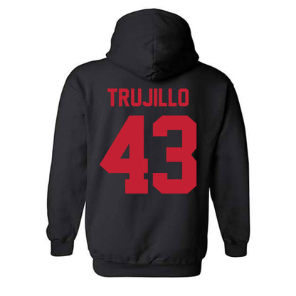 New Mexico - NCAA Baseball : Gene Trujillo - Classic Shersey Hooded Sweatshirt-1
