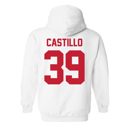 New Mexico - NCAA Baseball : Ryan Castillo - Classic Shersey Hooded Sweatshirt-1