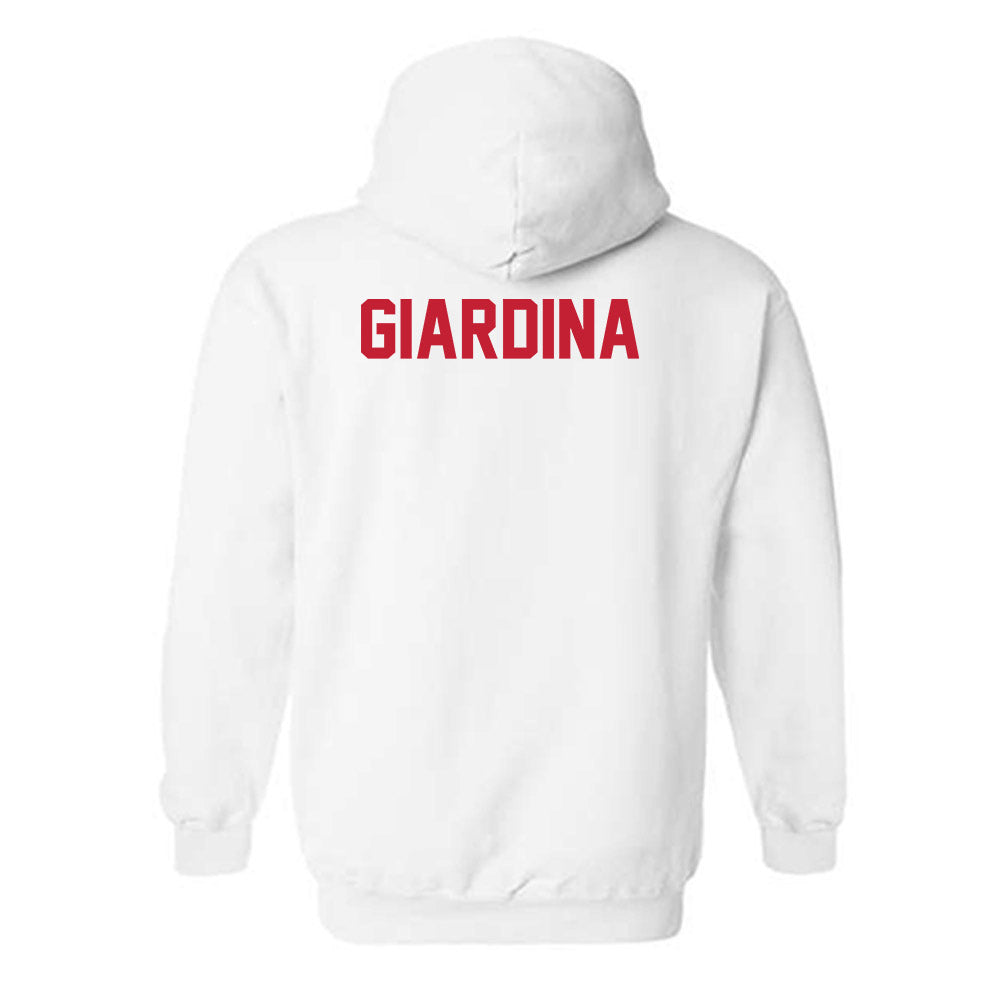 New Mexico - NCAA Men's Cross Country : Matthew Giardina - Classic Shersey Hooded Sweatshirt-1