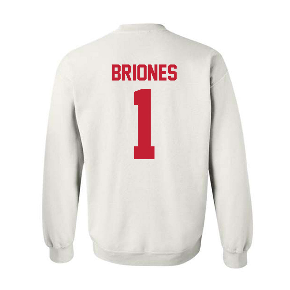 New Mexico - NCAA Softball : Gabrielle Briones - Classic Shersey Crewneck Sweatshirt-1