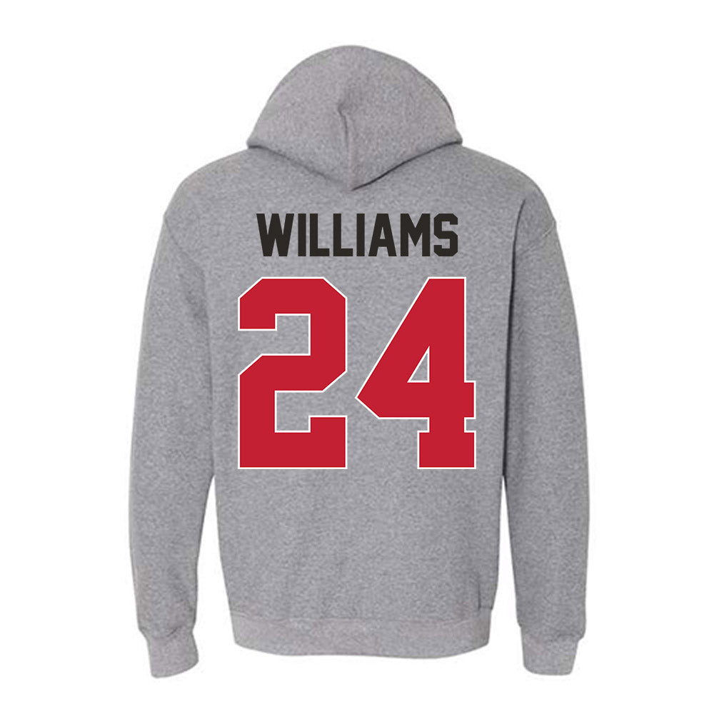 New Mexico - NCAA Baseball : Brodey Williams - Classic Shersey Hooded Sweatshirt-1
