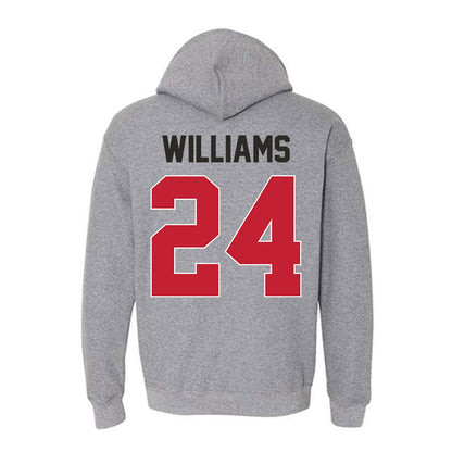 New Mexico - NCAA Baseball : Brodey Williams - Classic Shersey Hooded Sweatshirt-1