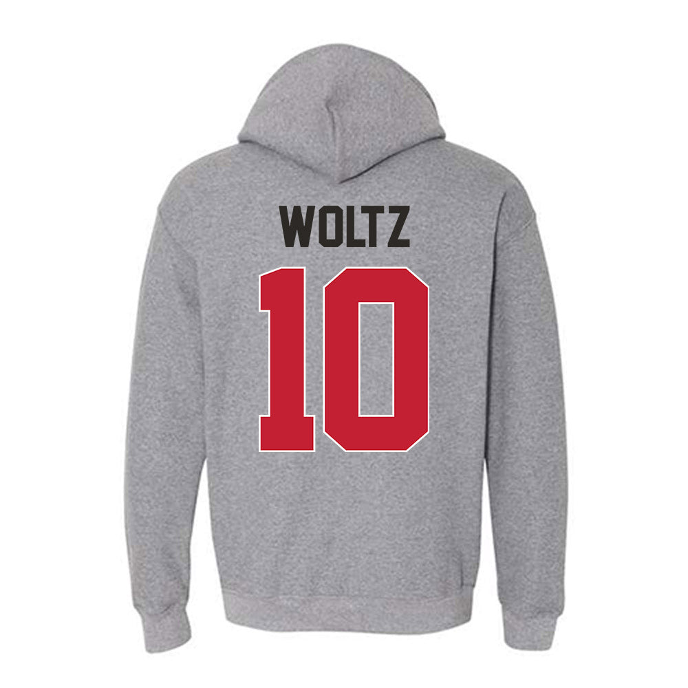 New Mexico - NCAA Baseball : Ethin Woltz - Classic Shersey Hooded Sweatshirt-1