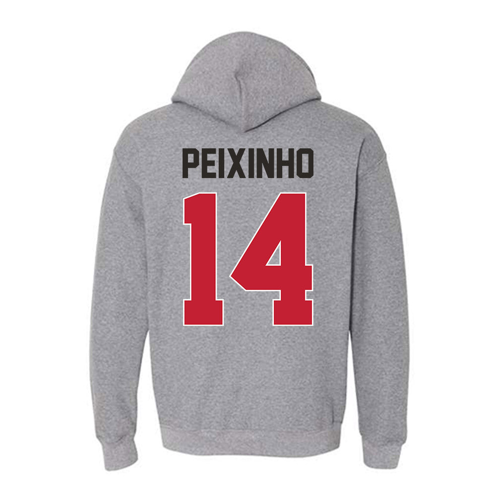 New Mexico - NCAA Women's Basketball : Leonor Peixinho - Classic Shersey Hooded Sweatshirt-1