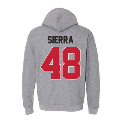 New Mexico - NCAA Football : John Sierra - Classic Shersey Hooded Sweatshirt-1
