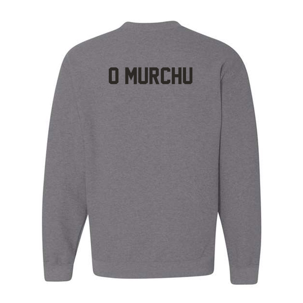 New Mexico - NCAA Men's Track & Field : Fionn O Murchu - Classic Shersey Crewneck Sweatshirt-1