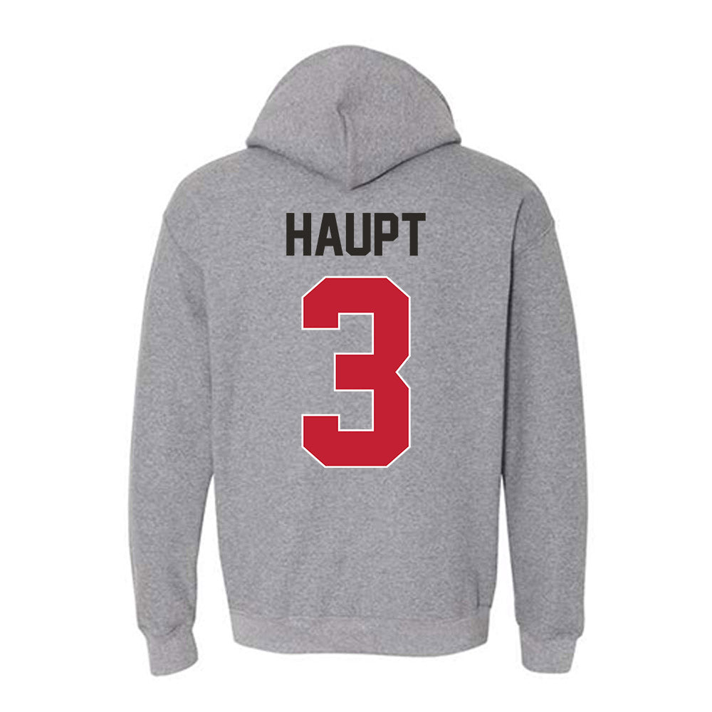 New Mexico - NCAA Men's Basketball : Luke Haupt - Classic Shersey Hooded Sweatshirt-1