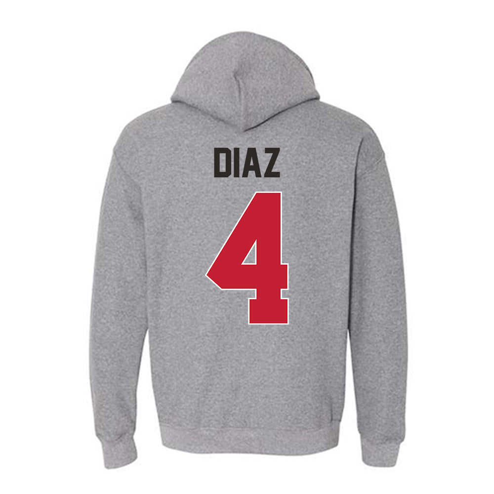 New Mexico - NCAA Baseball : Anthony Diaz - Classic Shersey Hooded Sweatshirt-1