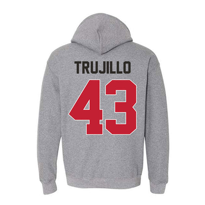 New Mexico - NCAA Baseball : Gene Trujillo - Classic Shersey Hooded Sweatshirt-1