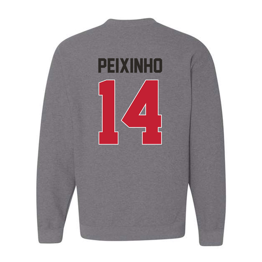 New Mexico - NCAA Women's Basketball : Leonor Peixinho - Classic Shersey Crewneck Sweatshirt-1