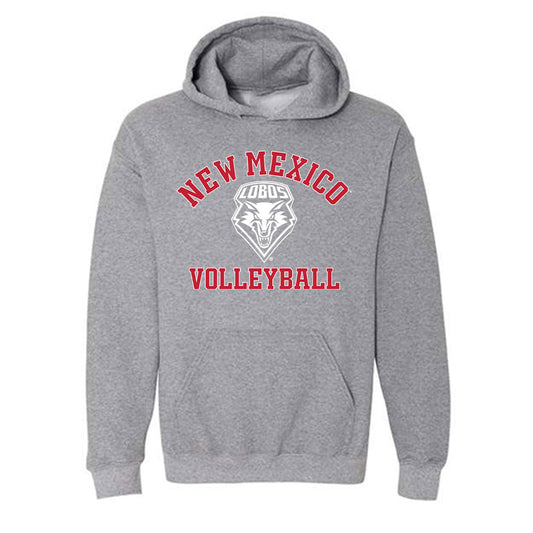 New Mexico - NCAA Women's Volleyball : Aylin Ravell - Classic Shersey Hooded Sweatshirt-0