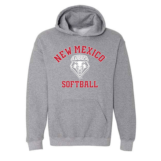 New Mexico - NCAA Softball : Caitlin Benningfield - Classic Shersey Hooded Sweatshirt-0