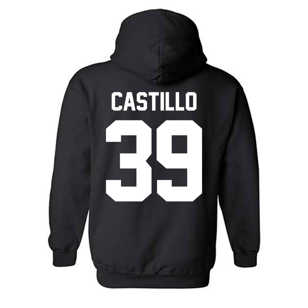 New Mexico - NCAA Baseball : Ryan Castillo - Classic Shersey Hooded Sweatshirt-1