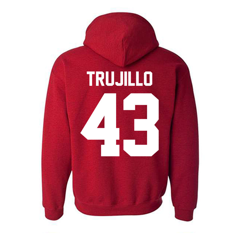 New Mexico - NCAA Baseball : Gene Trujillo - Classic Fashion Shersey Hooded Sweatshirt-1