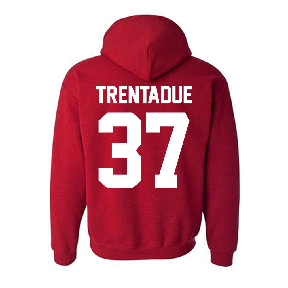 New Mexico - NCAA Football : Johnathan Trentadue - Classic Fashion Shersey Hooded Sweatshirt-1
