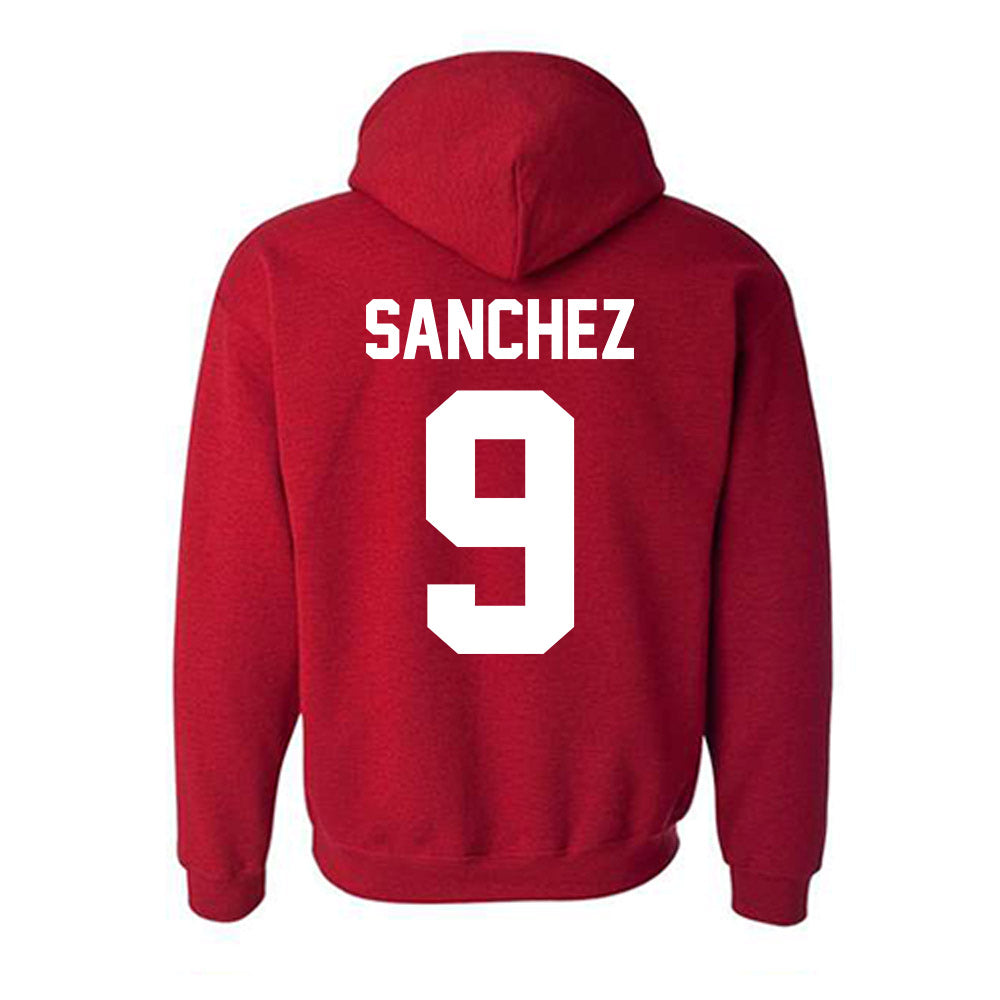 New Mexico - NCAA Women's Soccer : Savanah Sanchez - Classic Fashion Shersey Hooded Sweatshirt-1