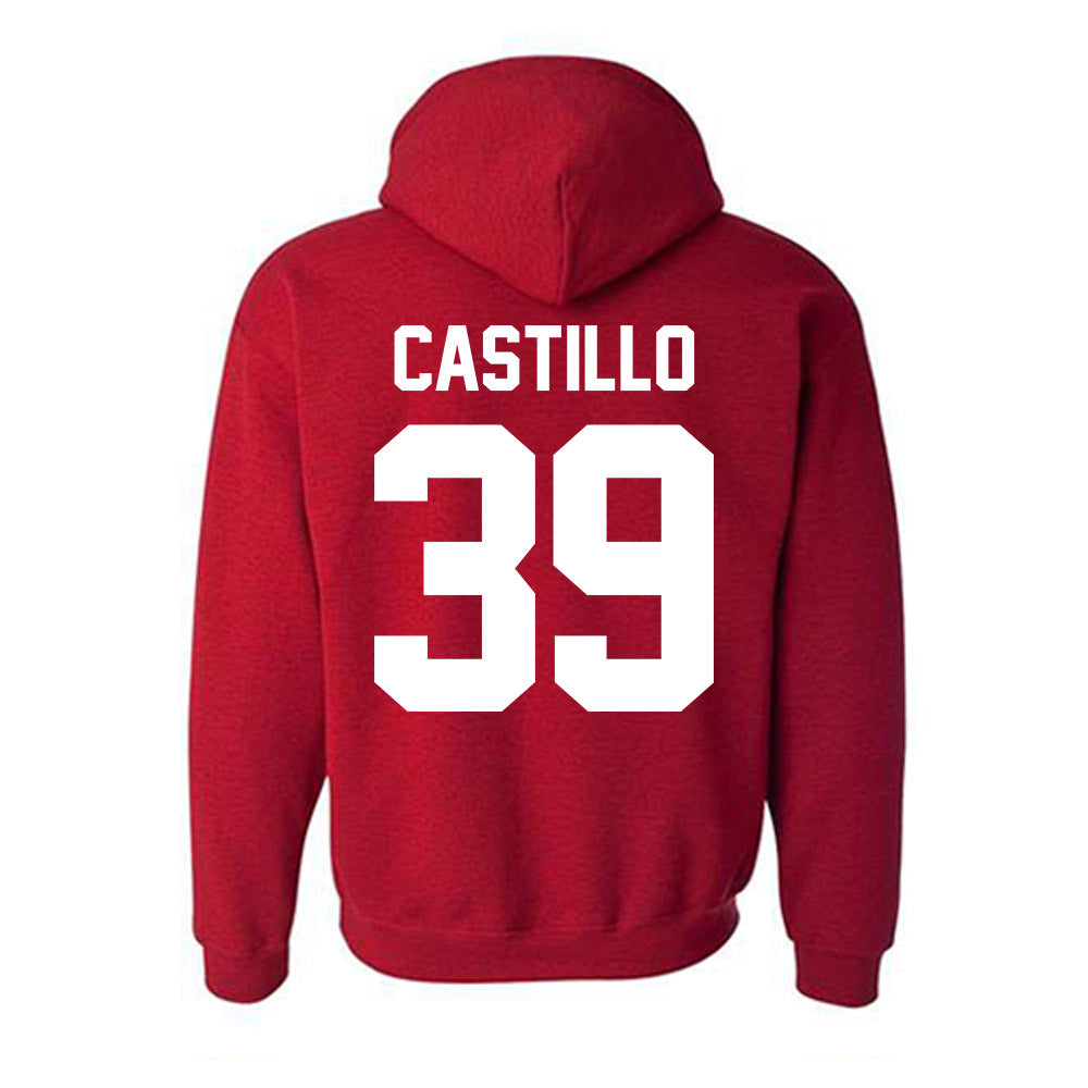 New Mexico - NCAA Baseball : Ryan Castillo - Classic Fashion Shersey Hooded Sweatshirt-1