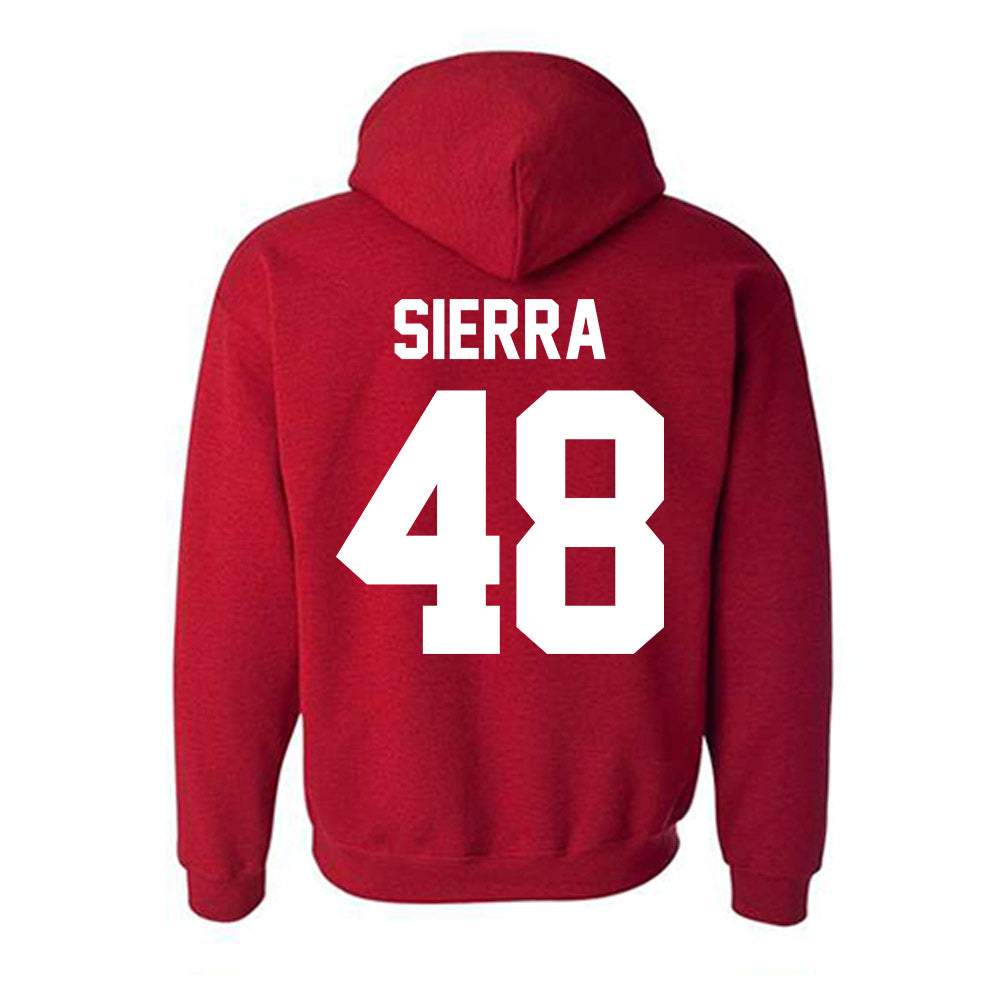 New Mexico - NCAA Football : John Sierra - Classic Fashion Shersey Hooded Sweatshirt-1