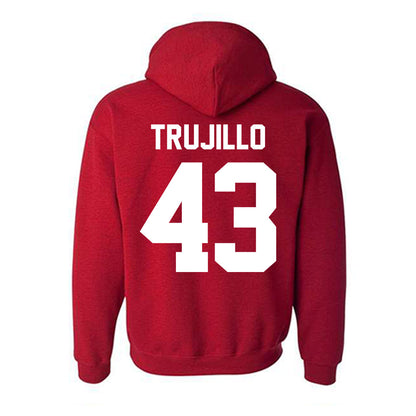 New Mexico - NCAA Baseball : Gene Trujillo - Classic Fashion Shersey Hooded Sweatshirt-1