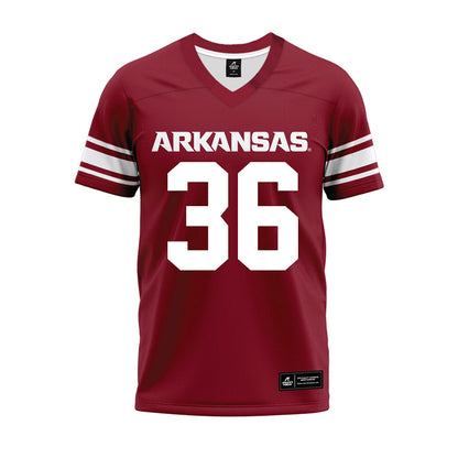 Arkansas - NCAA Football : Brian Alston - Cardinal Premium Football Jersey-0