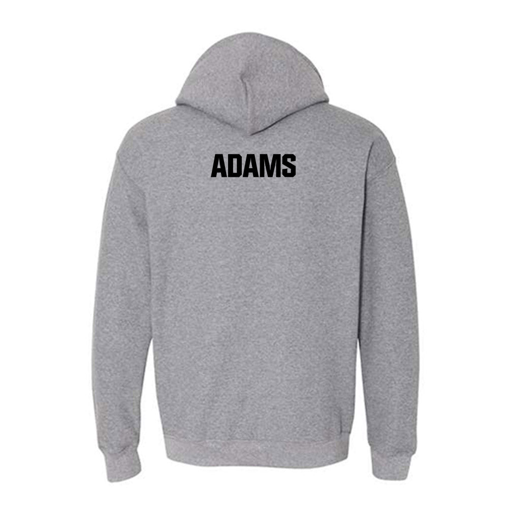 St. Francis - NCAA Women's Field Hockey : Hailee Adams - Classic Shersey Hooded Sweatshirt-1