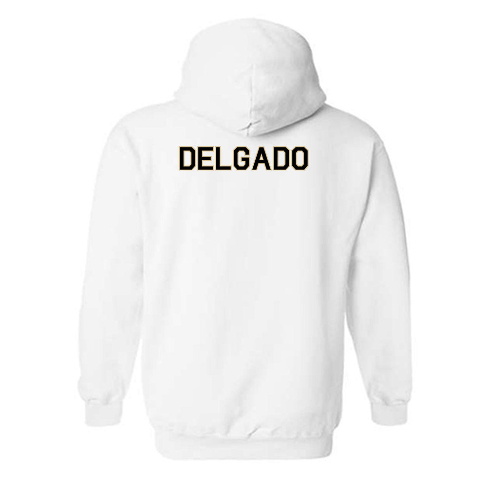 Wake Forest - NCAA Men's Tennis : Andrew Delgado - Classic Shersey Hooded Sweatshirt-1