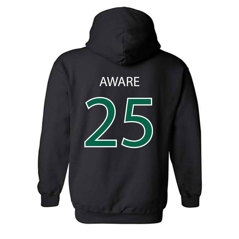 Northwest Missouri State - NCAA Women's Soccer : Nyah Aware - Classic Shersey Hooded Sweatshirt-1