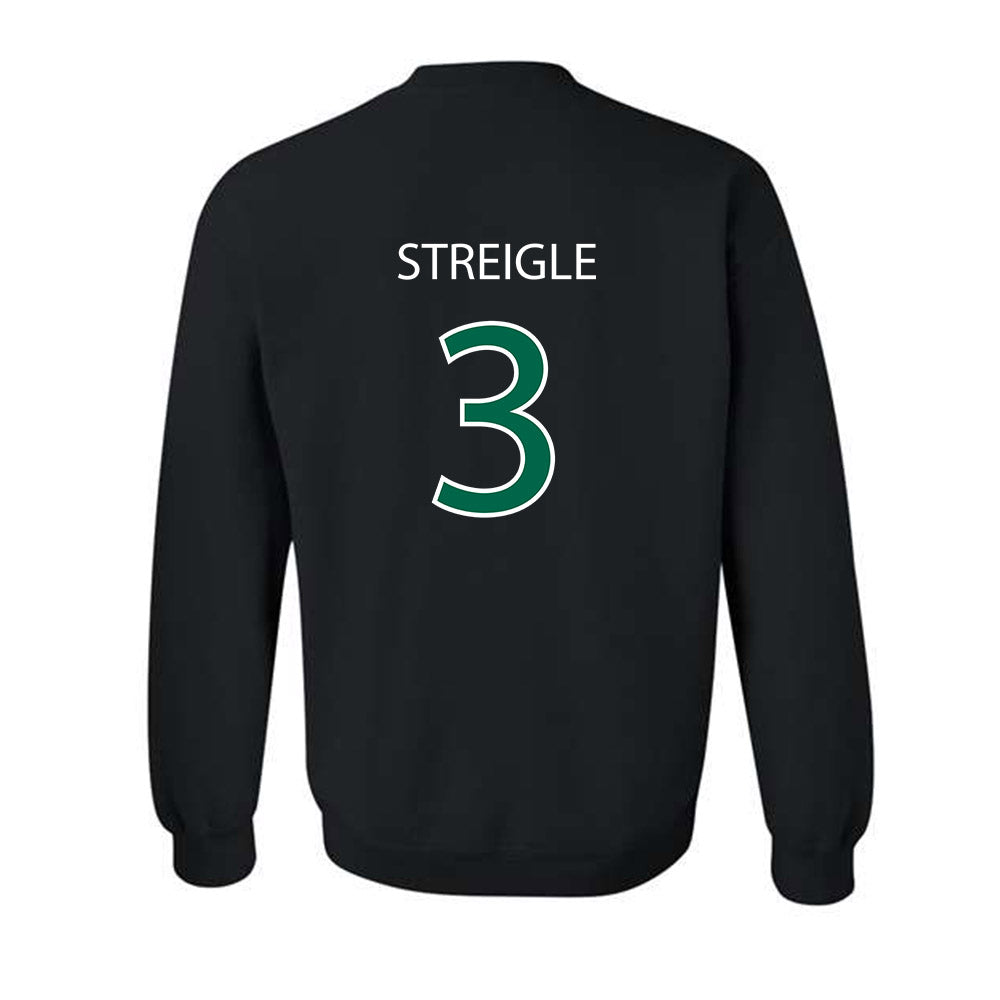 Northwest Missouri State - NCAA Softball : Jadyn Streigle - Classic Shersey Crewneck Sweatshirt-1