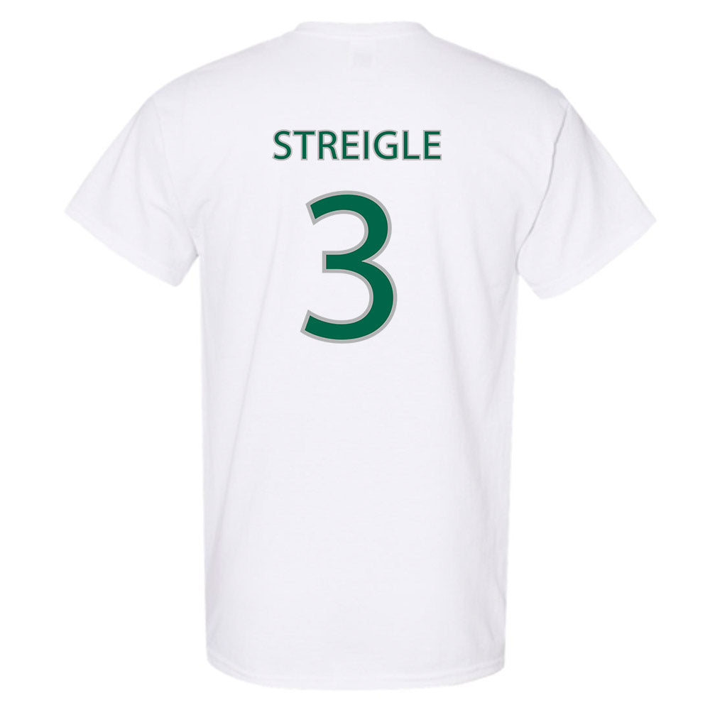 Northwest Missouri State - NCAA Softball : Jadyn Streigle - Classic Shersey T-Shirt-1