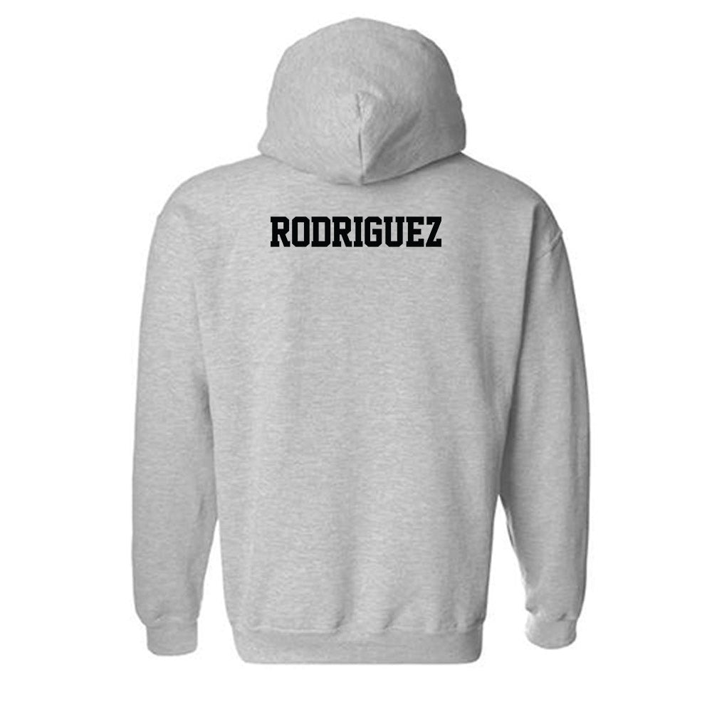 Northwest Missouri State - NCAA Men's Tennis : Andres Rodriguez - Classic Shersey Hooded Sweatshirt-1