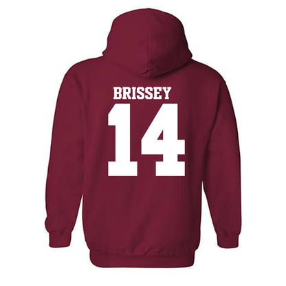 Arkansas - NCAA Baseball : Mark Brissey - Classic Shersey Hooded Sweatshirt-1
