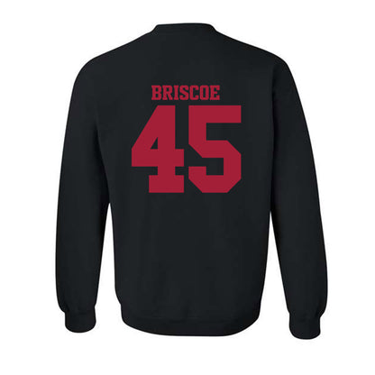 Arkansas - NCAA Baseball : Tye Briscoe - Classic Shersey Crewneck Sweatshirt-1