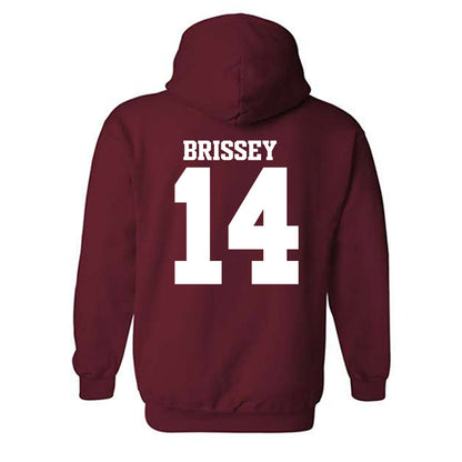 Arkansas - NCAA Baseball : Mark Brissey - Classic Shersey Hooded Sweatshirt-1