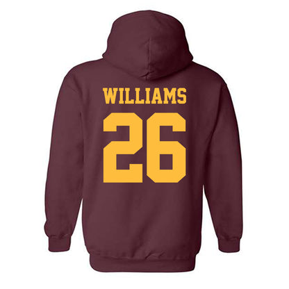 UMN Duluth - NCAA Softball : Allyssa Williams - Classic Shersey Hooded Sweatshirt-1