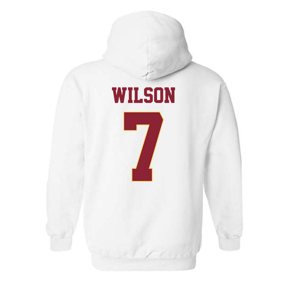 UMN Duluth - NCAA Baseball : Dylan Wilson - Classic Shersey Hooded Sweatshirt-1