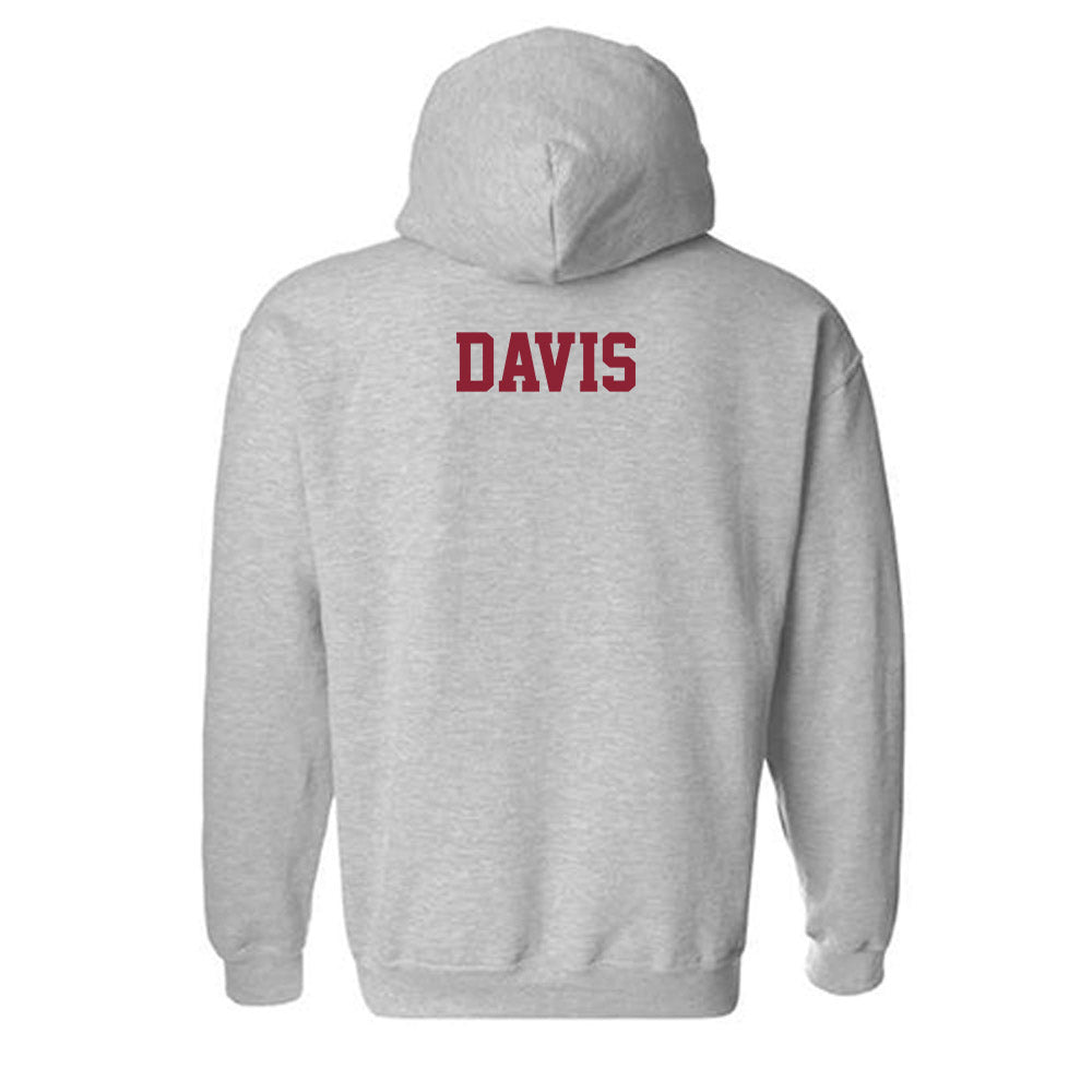UMN Duluth - NCAA Women's Track & Field : Amelia Davis - Classic Shersey Hooded Sweatshirt-1