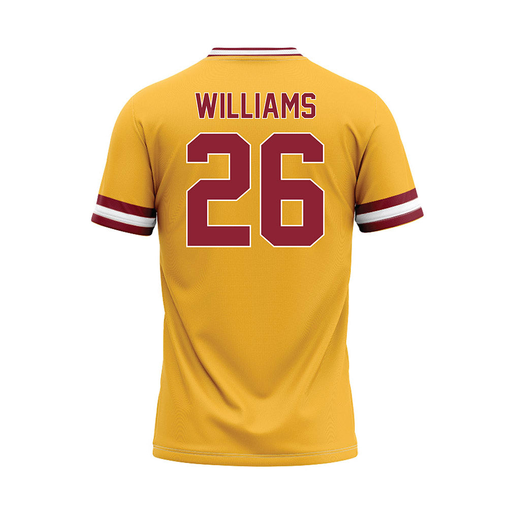 UMN Duluth - NCAA Softball : Allyssa Williams - Gold Baseball Jersey-1