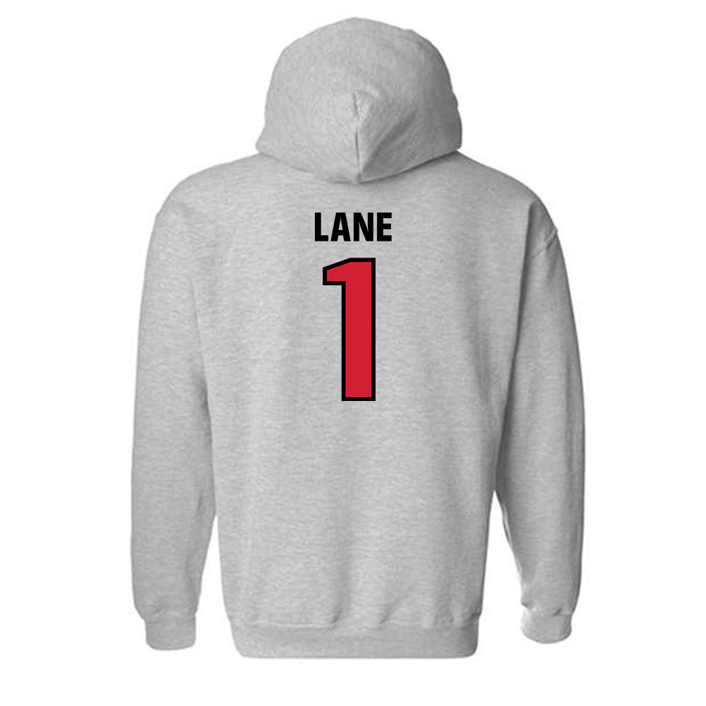 Tampa - NCAA Men's Basketball : Trey Lane - Classic Shersey Hooded Sweatshirt-1