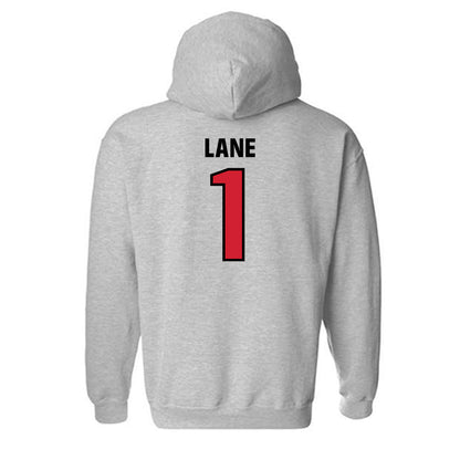 Tampa - NCAA Men's Basketball : Trey Lane - Classic Shersey Hooded Sweatshirt-1