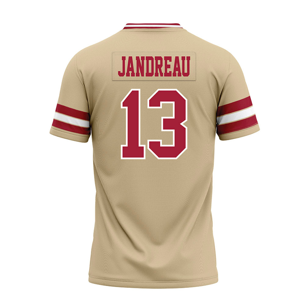 Oklahoma - NCAA Football : Niko Jandreau - Premium Football Jersey-1