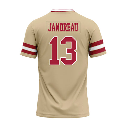 Oklahoma - NCAA Football : Niko Jandreau - Premium Football Jersey-1